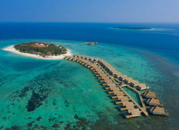 61606d59ef9cd633776d434c_faarufushi_oasis-5