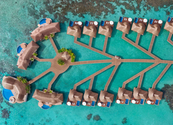«Мишленовские» ужины на курорте W MALDIVES W Maldives