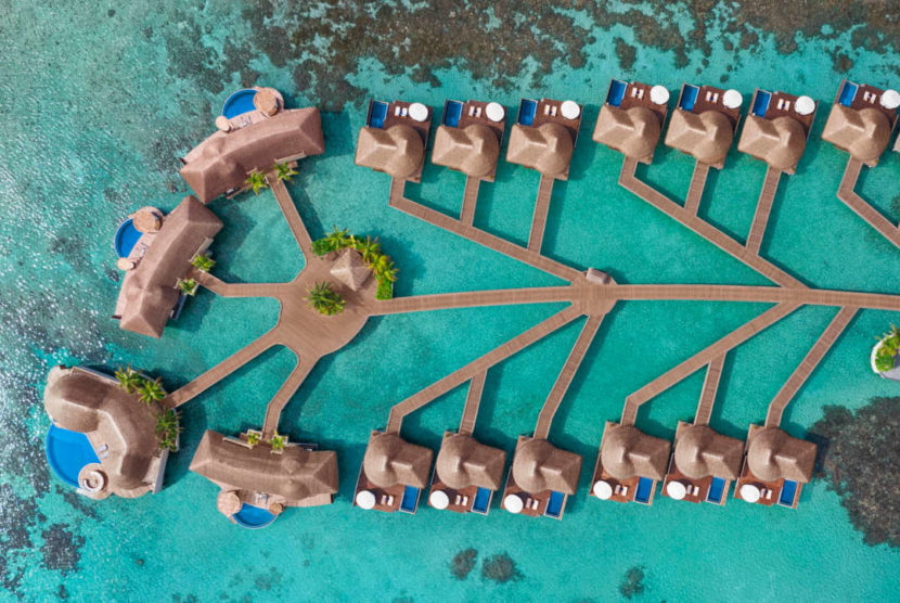 «Мишленовские» ужины на курорте W MALDIVES W Maldives