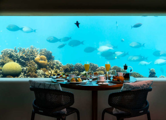 Исследуйте невероятный подводный мир Индийского океана вместе с курортом HuvafenFushi Huvafen-Fushi1