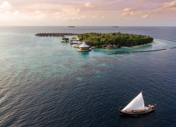 7859A8DA-2F11-40A5-919A-AE7D972ADEE0