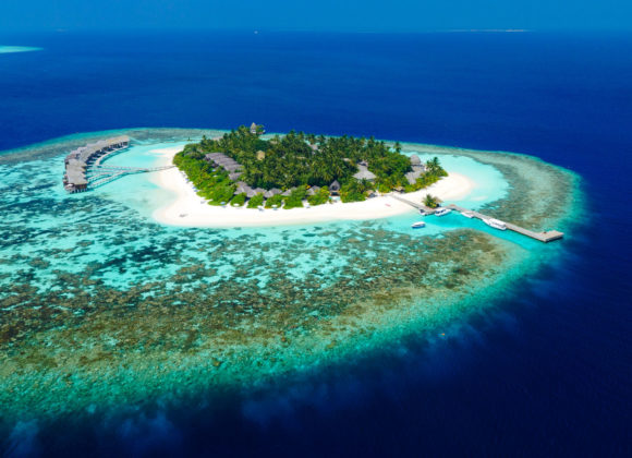 Неповторимые вкусы Kandolhu Maldives 04A5F85C-D586-4CBD-9BEE-4F03B6AA6A3D