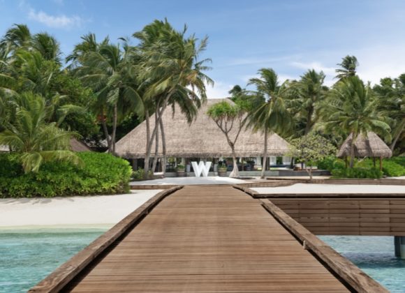 F01478AF-DD04-47D4-A783-E3D1F66E4CCB