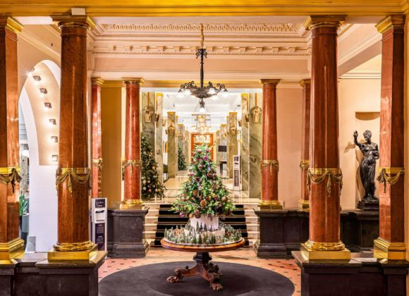 4CABECCE-46D2-4226-A800-85A7B297E654