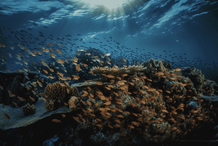 Лучшие места для семейного отдыха mailservice-min