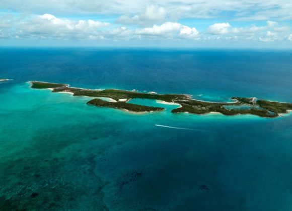 Изображение WhatsApp 2025-02-25 в 14.11.45_5cb7b306