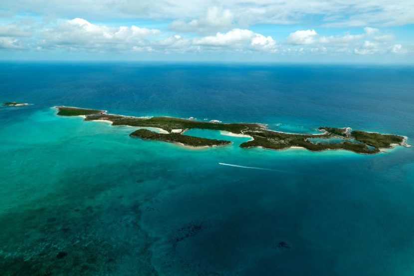 Изображение WhatsApp 2025-02-25 в 14.11.45_5cb7b306