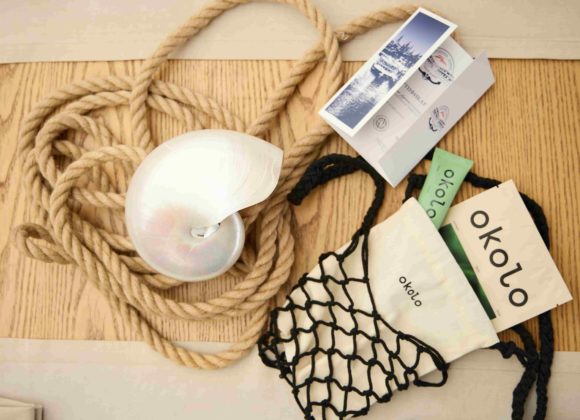 Чайка Ласточка Okolo-min