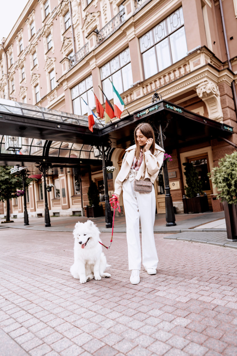 Гранд Отель Европа запустил программу для домашних любимцев Facade ghe1