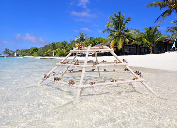 Sheraton Maldives 5-2