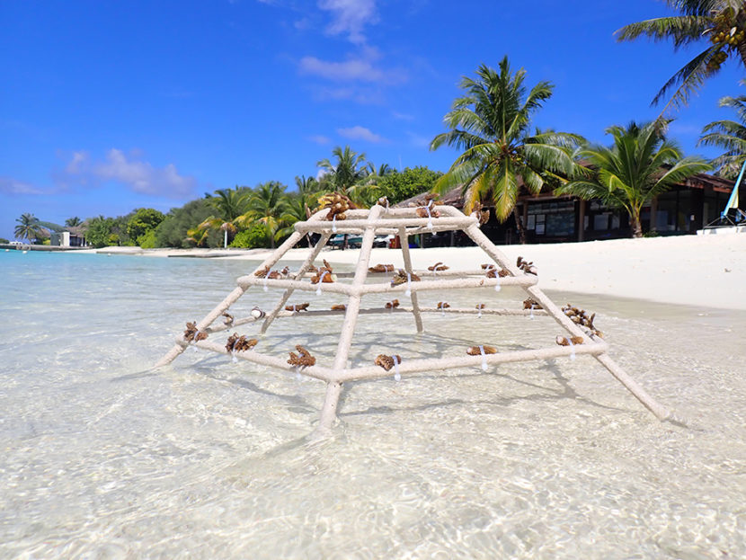Вместе мы сила! Sheraton Maldives 5-2